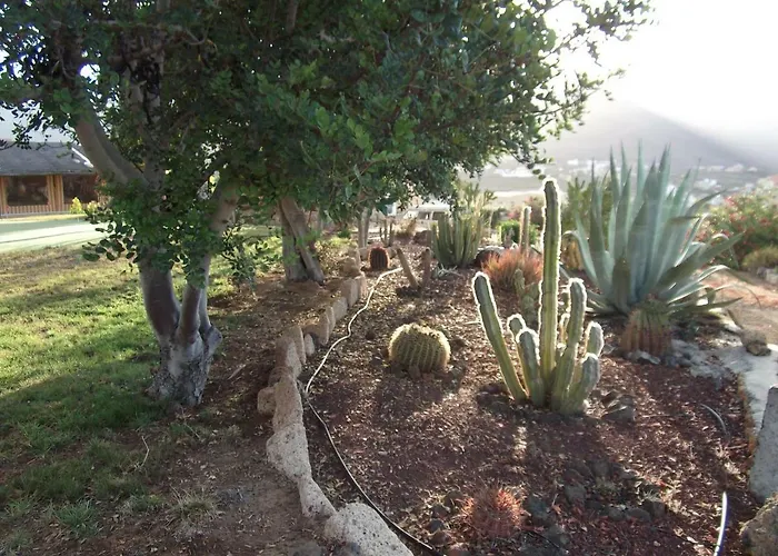 Prázdninový dům Casa Del Artista Arona (Tenerife)